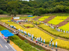 赏秋景、乐民俗、“趣”夜游，国庆假期广州乡村游火热