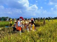 接待168万人次！黄金周首日，广东旅游市场快速升温