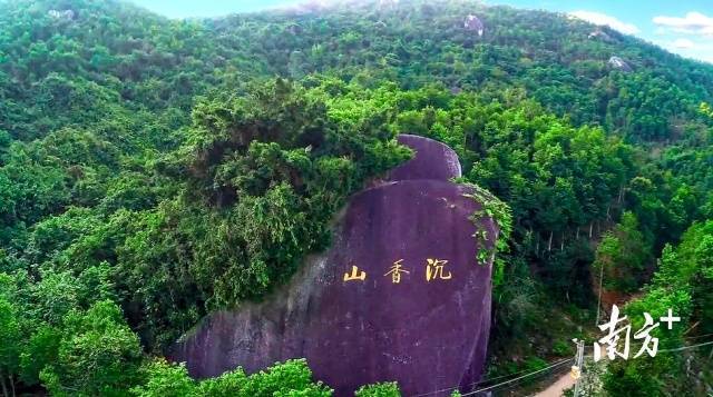  茂名市电白区新闻中心供图