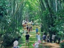 广东森系露营天花板！国庆打卡五桂山｜文旅体验官④