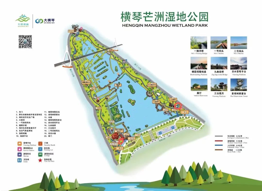 芒洲湿地公园游览图。