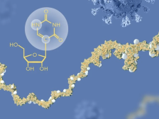 加冕2023年诺奖，mRNA下一关能攻克癌症吗？