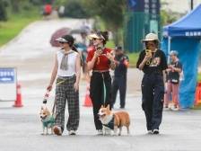 同比增长71.3%！全省150家重点景区累计接待游客1276.3万人次