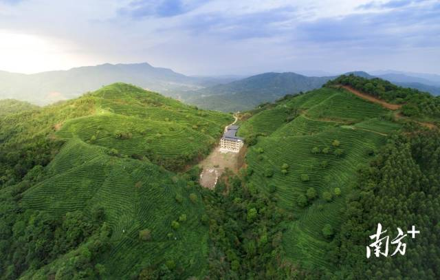 南方农村报 常秦 拍摄