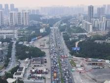 “小犬”给长假“添堵”，返程路上遇暴雨可以这样避险！