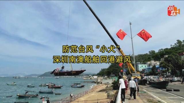 视频｜防范台风“小犬”，深圳南澳船舶回港避风