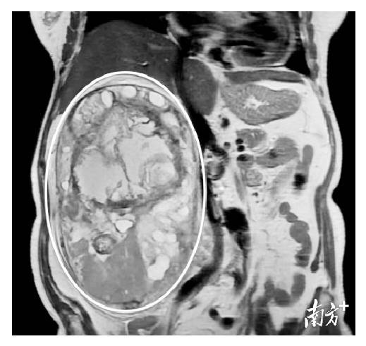通讯员 华医 供图
