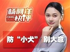 防“小犬”，别大意 | 杨阿洋快评