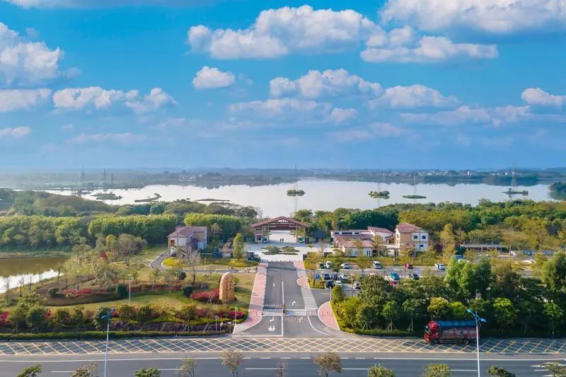 云东海湿地公园。/佛山市新闻传媒中心记者王澍摄