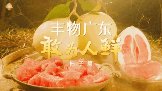 南方农村报 常秦 拍摄