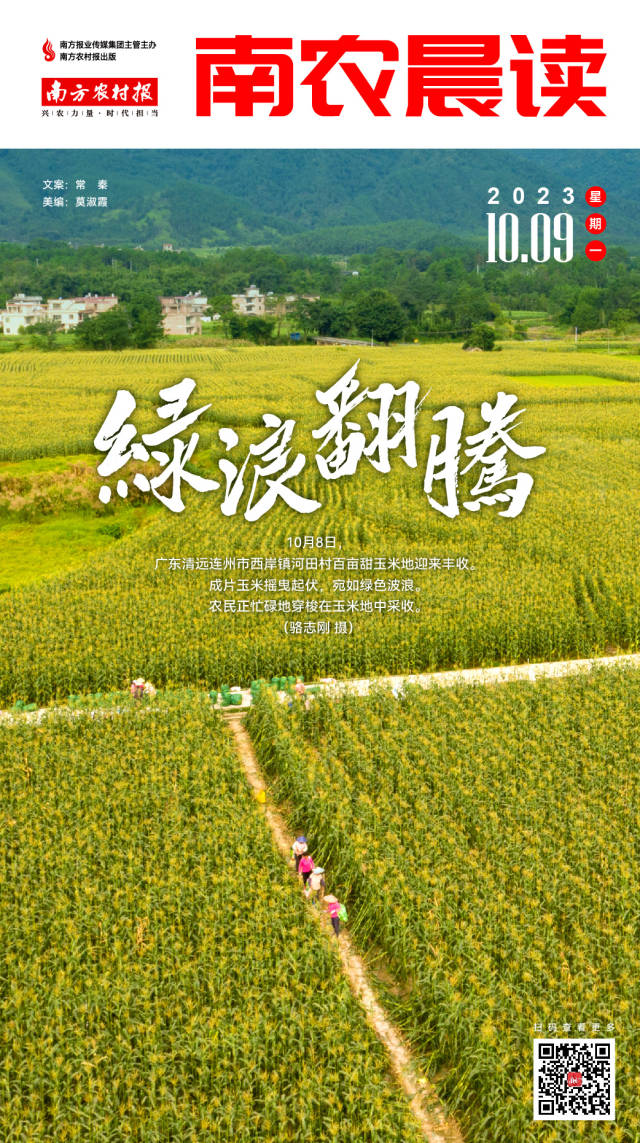 南方农村报 樊静东 制图