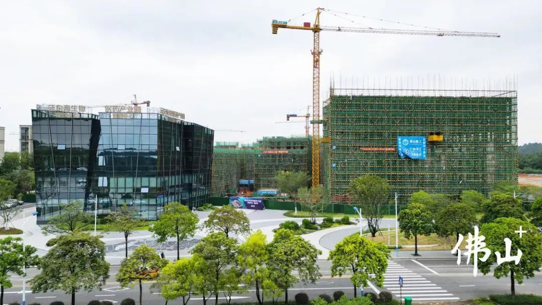 2023年7月18日，佛山云东海医药健康产业园科创中心正在如火如荼地建设之中。