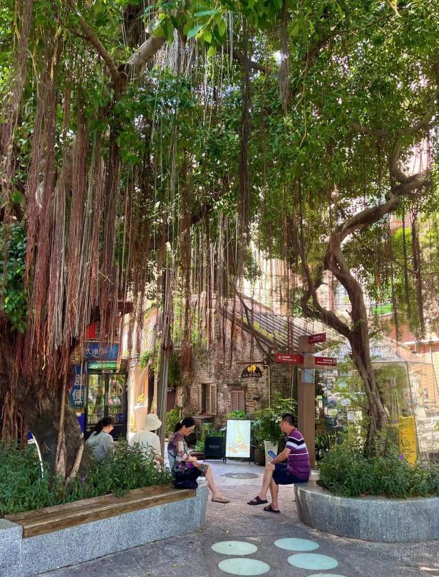 北山大院里，不少人在榕树下纳凉歇脚。