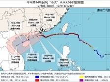 滚动｜惠州结束防风IV级应急响应