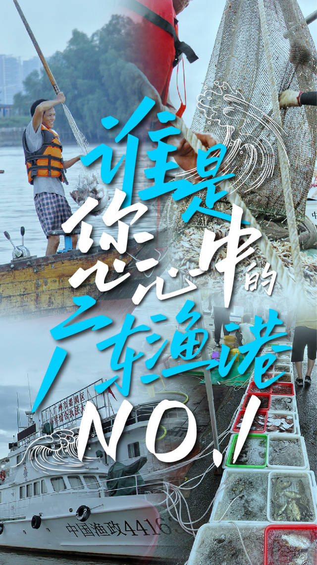 投票｜“寻找最美渔港”，快来投出您心中的广东渔港NO.1！