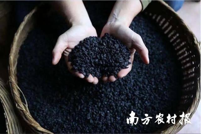 纯天然调味佳品黄姚豆豉