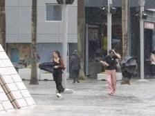 香港时隔一月再发黑雨警告，台风“小犬”已致28人受伤