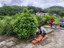 县镇村大提升｜“三美”家庭创建助力东源建设宜居宜业和美乡村