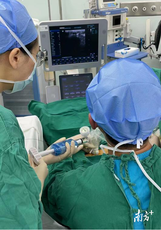 通讯员 二医 供图