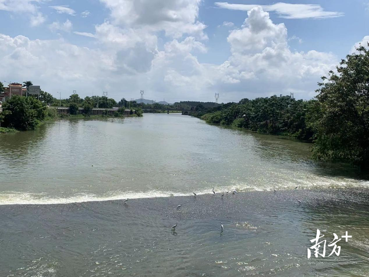 恩平市水利局供图