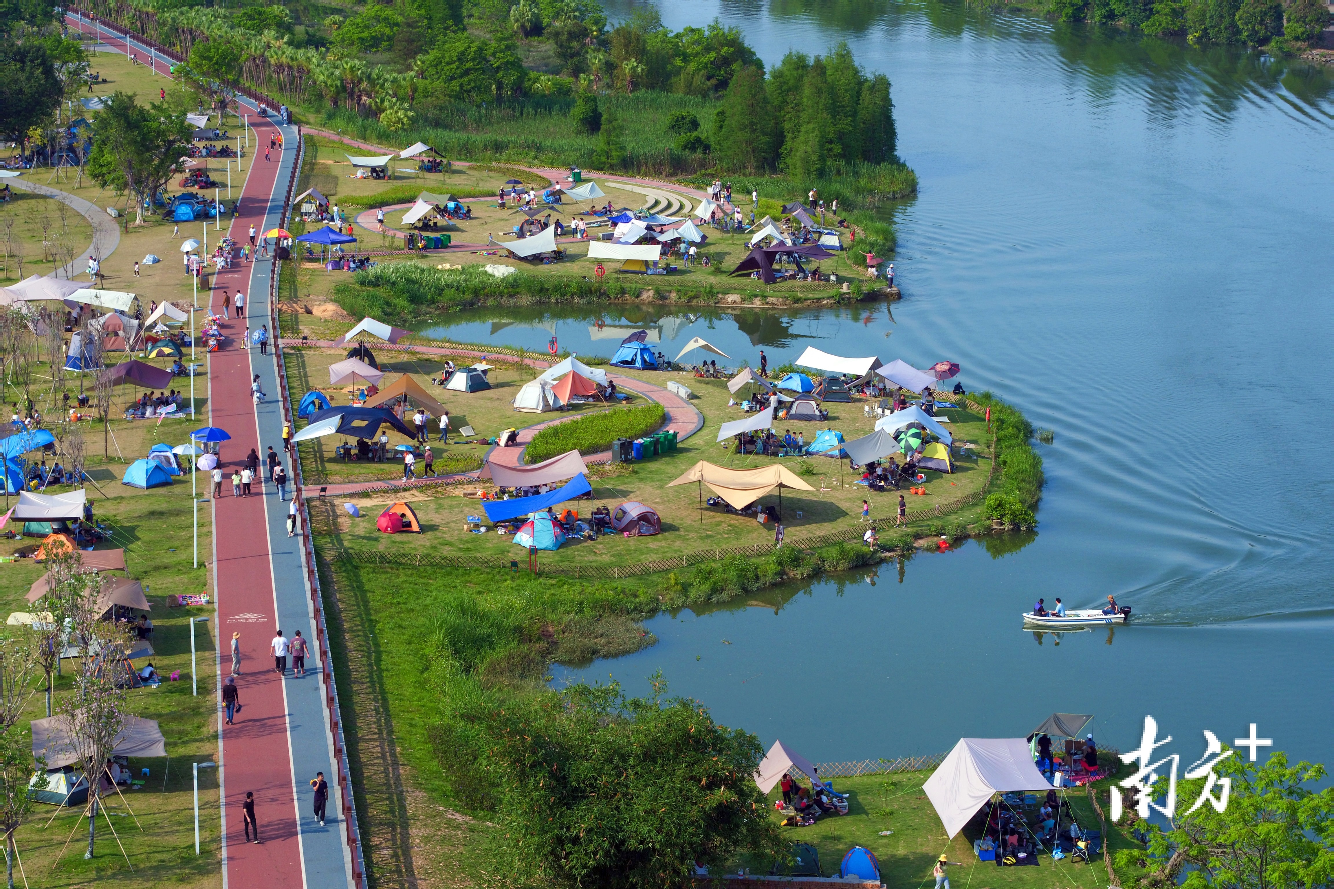 在江门水道新会段碧道,草地上帐篷如花朵朵绽放。 江门市水利局供图 在江门水道新会段碧道,草地上帐篷如花朵朵绽放。 江门市水利局供图
