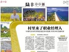 村里来了职业经理人 | 速览《南方日报·陆丰视窗》第24期