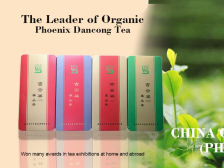 潮州市吉云祥茶业有限公司｜广东省农产品出口示范基地④