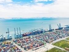 “芯晨大海”：是一种什么声音？