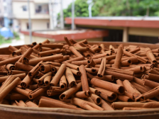 邮储银行云浮分行：打造数字金融生态，助“三农”发展 | 金融活水润泽“百千万工程”⑪