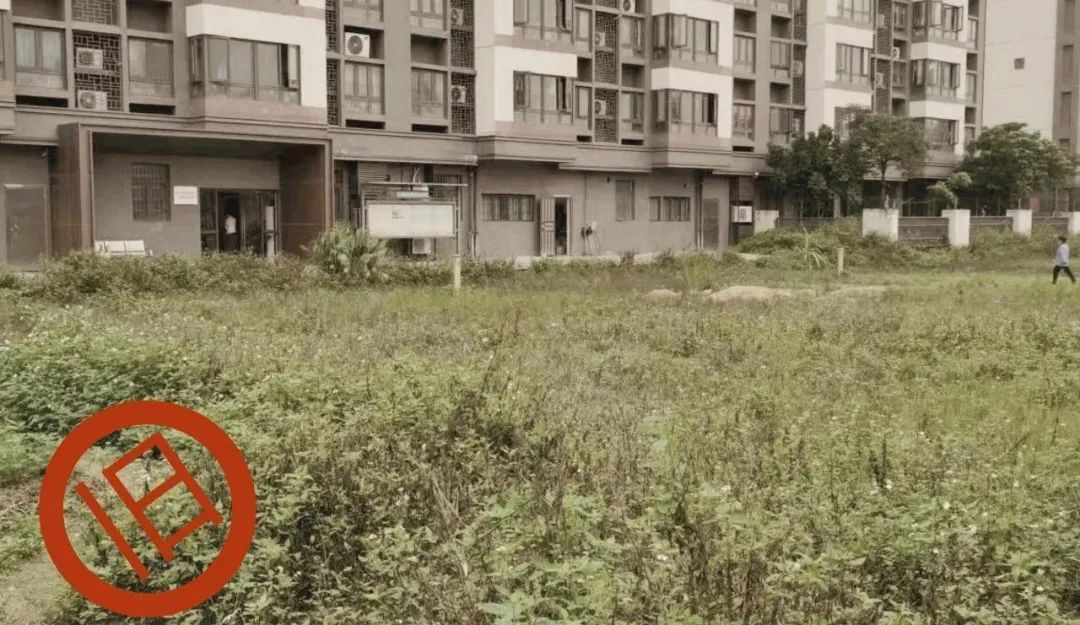 闲置荒地升级改造前。