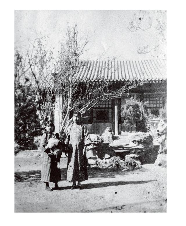 输得起的郭宝昌