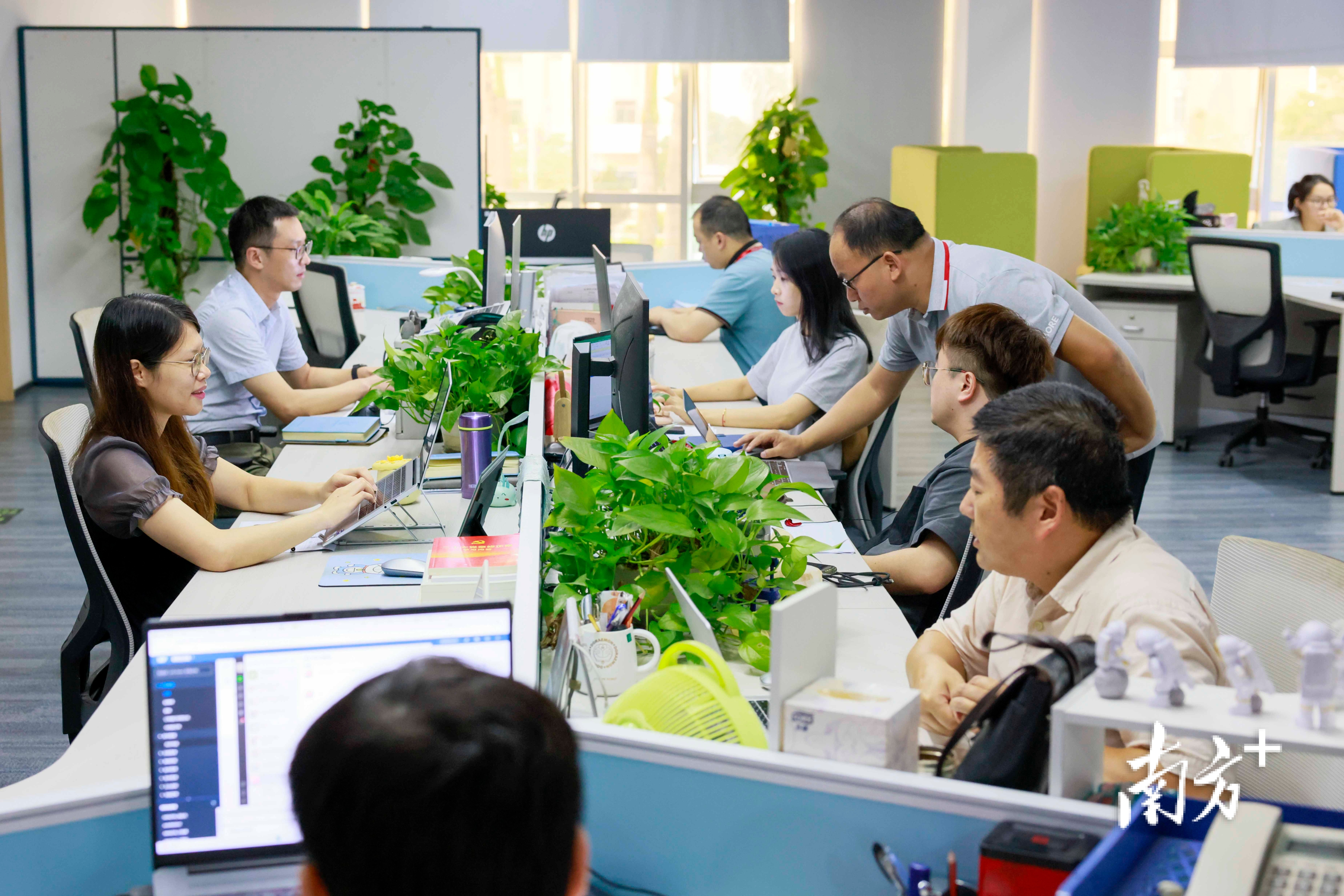 长虹打造了一支跨国家、跨文化的中外一体化运营团队。 南方+ 卢子衡 拍摄