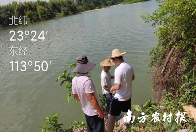 工作人员在进行鱼样（上）和水样（下）采集