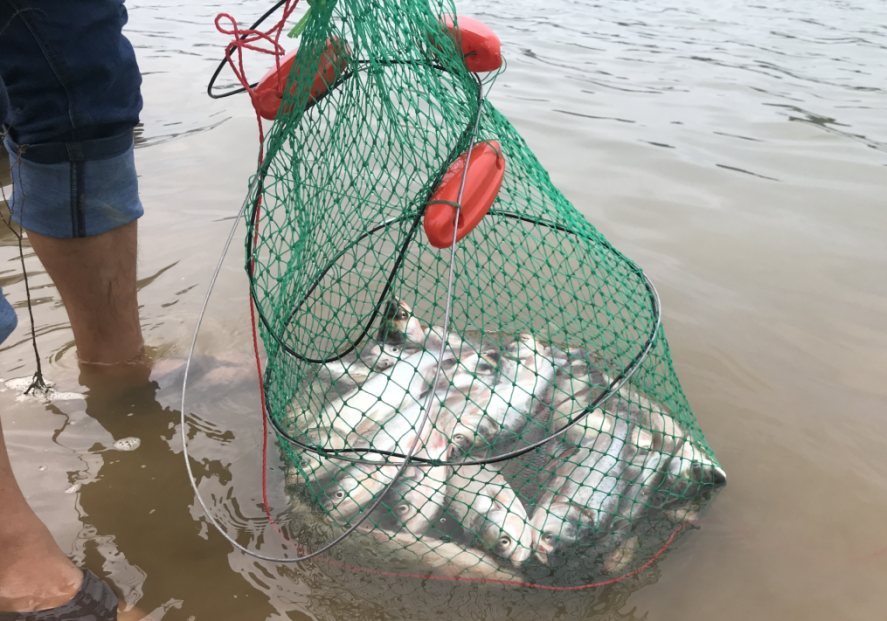 图片来源“品质大塘”