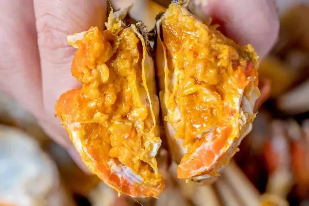 母蟹蟹黄。