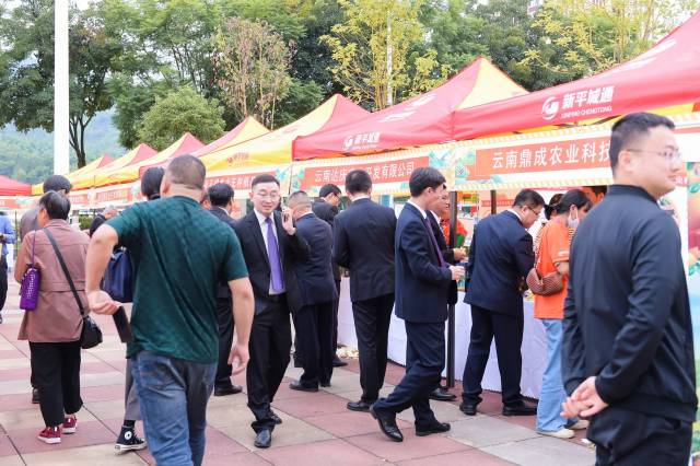 博览会展区人流涌动。