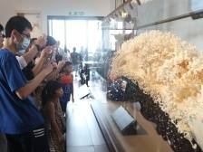 从四个维度深刻领会习近平文化思想