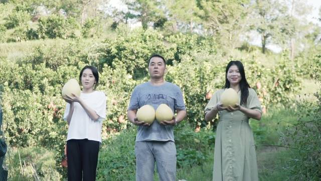 駐大麻鎮(zhèn)工作隊(duì)隊(duì)員張華玲、志愿者林莎莎和果農(nóng)福子哥（劉向榮）出鏡為大埔蜜柚打CALL,。