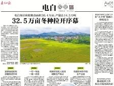 32.5万亩冬种拉开序幕 | 速览《南方日报·电白视窗》143期