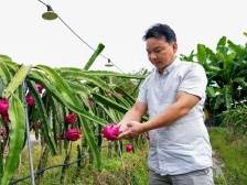 侨乡村“产业村长”潘增明：让围龙屋古村焕发新生机|产业村长上岗 乡村振兴有方⑧