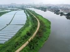 潮南区深入开展绿美行动，让“生态绿”成为最动人发展底色