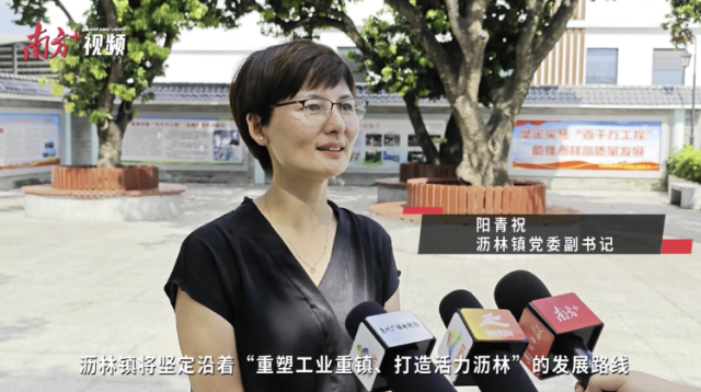 视频｜沥林镇党委副书记阳青祝：奋力推动“百千万工程”走深走实