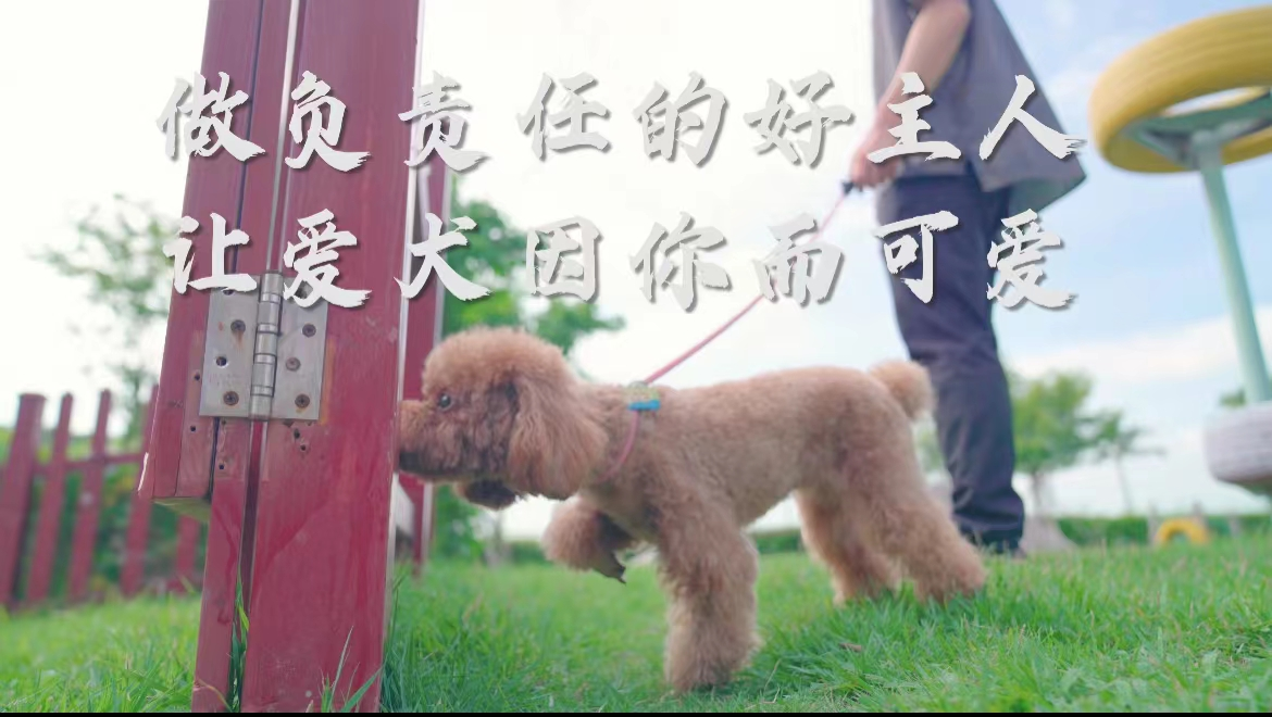 做负责人的好主人（示例图）