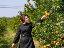 79名“产业村长”走马上任，看看为兴宁谋划了哪些项目？