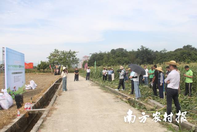 田间直播现场，种植户围站在田头参加培训。