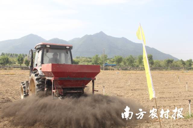 施肥机为菜地施入有机肥。