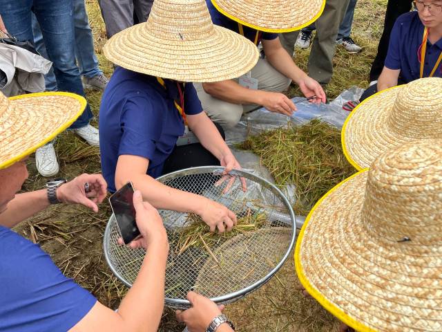 南方农村报 郑建斯 拍摄