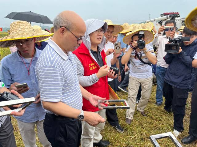 南方农村报 郑建斯 拍摄