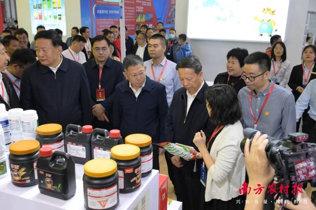 领导巡金正大国际集团展位