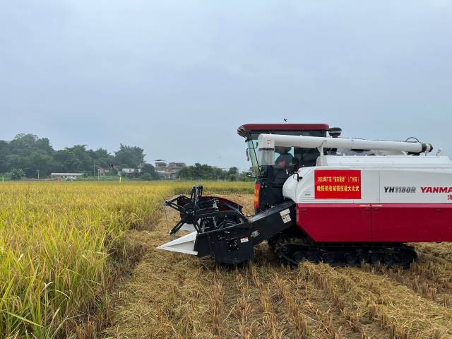 南方农村报 郑建斯 拍摄